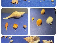 -山东博物馆