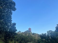 -深圳仙湖植物园