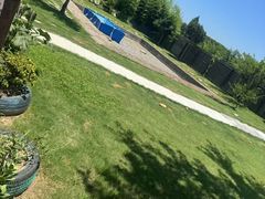 -南汇新场正宗水蜜桃采摘