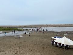 -启东黄金海滩景区