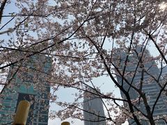 -陆家嘴中心绿地