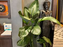 -菩泰·泰式草本按摩SPA(武汉新天地南馆店)