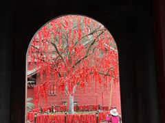 -七曲山风景区