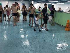 -平湖九龙山乐满地水上乐园