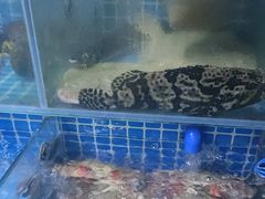 -老班长大酒店(海关大楼店)