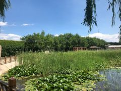 -河北村民俗体验园