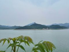 -望湖烤鱼