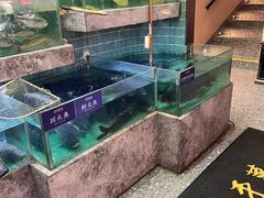 -鱼你相聚·河鲜馆(袁家岭店)