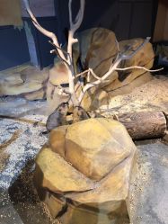 -未来动物城动物主题公园(大悦城店)