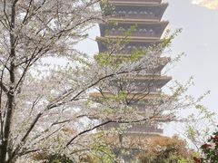 -牛首山文化旅游区