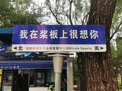 -WhaleSports户外水上运动俱乐部(朝阳公园店)