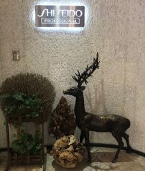 -AKOZO Beauty Salon