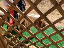 -萌宠亲子动物乐园(槐房万达店)