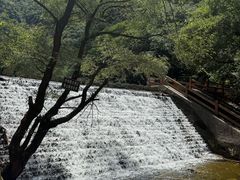 -少华山国家森林公园