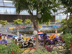 -南宫五洲植物乐园