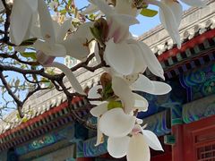 -大钟寺古钟博物馆