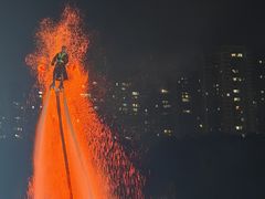 -广西壮族自治区药用植物园