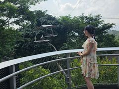 -新加坡飞禽公园