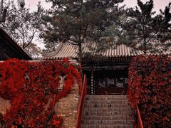-龙庆峡风景区
