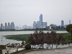 -古琴台