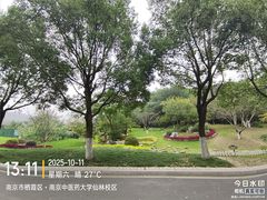 -羊山湖公园