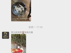 -西元前宠物酒店(郑庄府邸店)