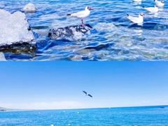 -青海湖国家重点风景名胜区