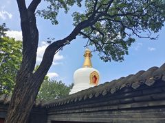 -护国法轮寺