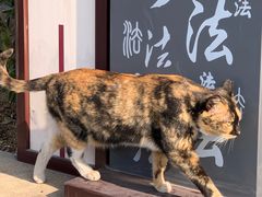 -长春观