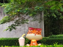 -缘生态云南菜·野生菌庭院餐厅(华侨城店)