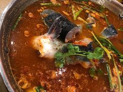 酸汤鱼-新凯里酸汤鱼(飞山街店)