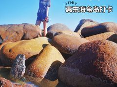 -广东惠东海龟国家级自然保护区
