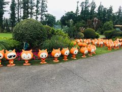 -上海长兴岛郊野公园