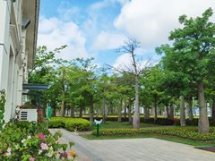 -芒洲湿地公园