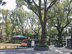 -申粤轩酒楼·三十年粤菜经典(丁香花园店)