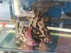 -渔中舟海鲜大排档(普陀沈家门店)
