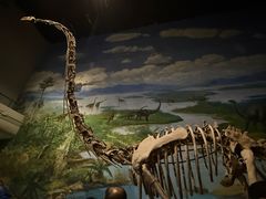 -自贡恐龙博物馆