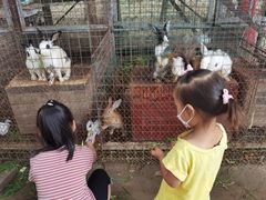 -草根堂农场