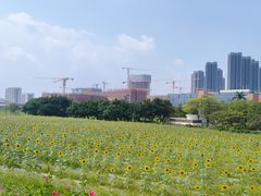 -光明小镇欢乐田园
