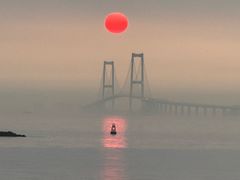 -宝安西湾红树林湿地公园