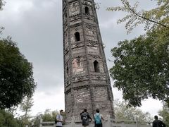 -上海佘山国家森林公园天马山园