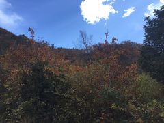 -孟屯河谷景区