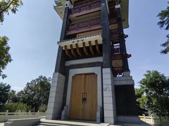 -王借岗森林公园