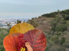 -香山公园