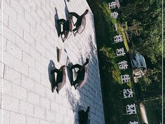 -广东惠东海龟国家级自然保护区
