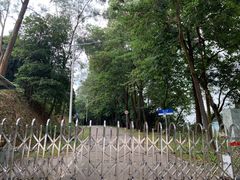 -风云岭森林公园