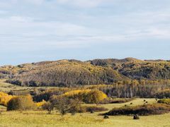 -塞罕坝国家级自然保护区