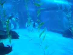 -常州海昌海洋探索馆