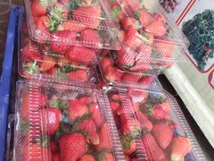 -西北农副产品中心批发市场(广安路店)