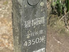 -梧桐山风景名胜区